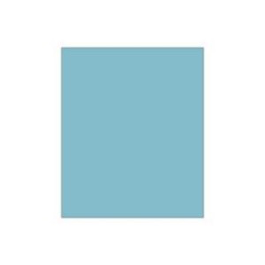 Champ de soins - Champ Stérile 50 x 75 cm Bleu 